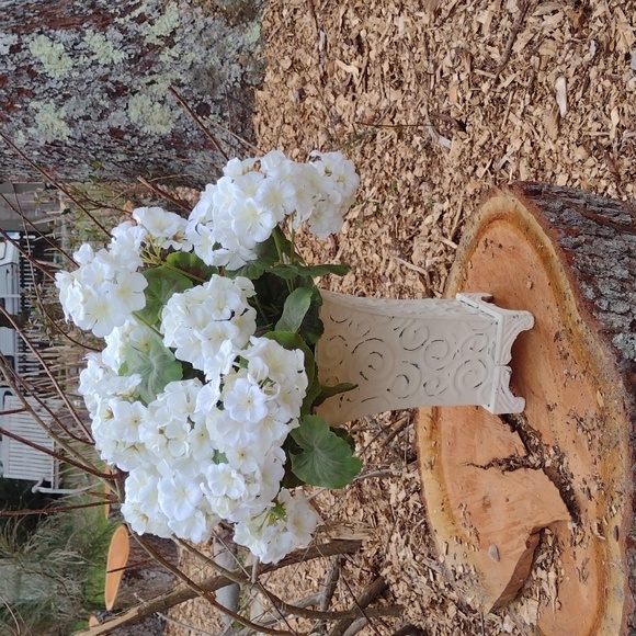 FLORALS - Picture 3 of 3